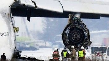 «Волга-Днепр» приостановила полёты Ан-124