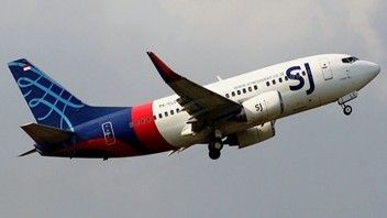 Boeing 737-500 упал в море