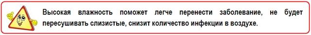 Увлажнение воздуха: основные понятия и определения