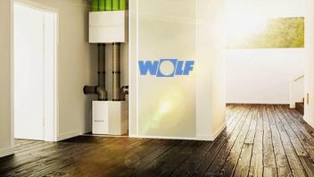 WOLF: 10 лет дочерней компании в России!
