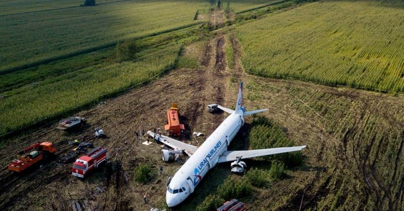 Командир А321 прокомментировал аварийную посадку в кукурузном поле