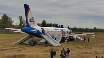 Посадка А320 в пшеничном поле из-за ошибок экипажа