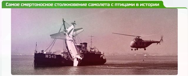 Испытания самолётов на земле на птицестойкость в полёте