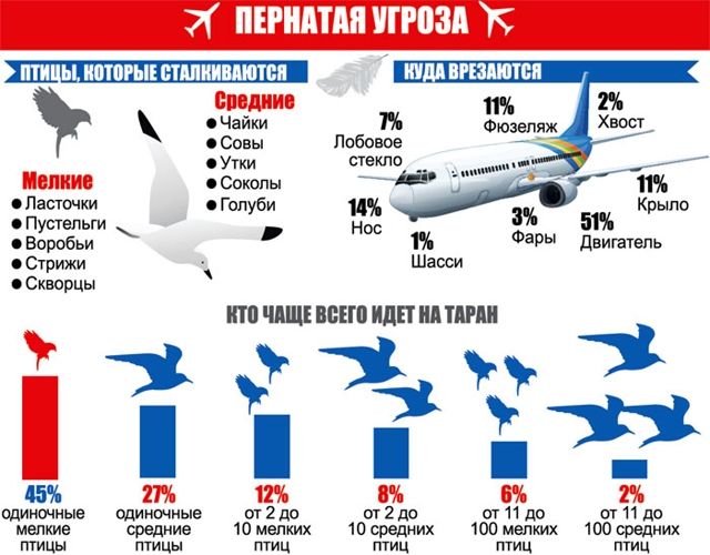 Испытания самолётов на земле на птицестойкость в полёте