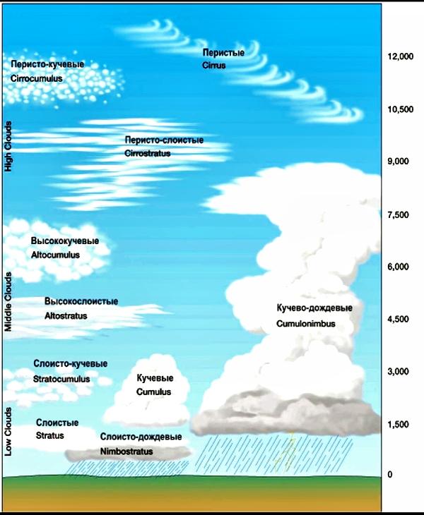 Виды образования облако в зависимости высоты от земной поверхности Круговорот воды в природе - образование облаков